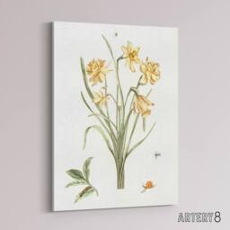 "Artery8 Five Daffodils Vintage Illustration Teyler Canvas Wall Art in White - Size: W18"" x H24""" - thumbnail 2