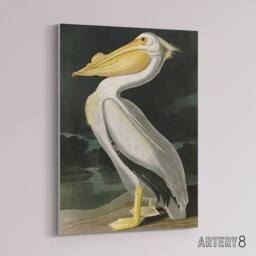 "Artery8 Audubon Birds White Pelican Painting Canvas Wall Art Print - Size: W18"" x H24""" - thumbnail 2