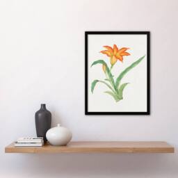Artery8 Vintage Japan Botanical Framed Wall Art Print Orange Lily Flower in Pink - Size: A4 - thumbnail 2