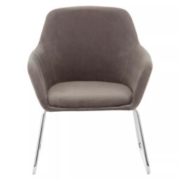 Orsina Grey Chair, Easy Care Velvet Chair, Arm & Backrest Chair for Living Room, Space-Sufficient Lounge Chair