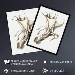 "Artery8 cockeyed squid illustration Carl Chun Framed Wall Art Print in White - Size: W12"" x H16""" - thumbnail 2