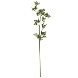 Lemon Pavilion Furniture and Decor Faux Cow Parsley Ammi Stem - Plastic - L5 x W10 x H100 cm - Green - thumbnail 4