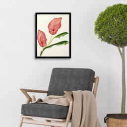 "Artery8 Wall Art Print Pink Laceleaf Tropical Leaf Anthurium Botanical Art Framed in Black - Size: W12"" x H16""" - thumbnail 2