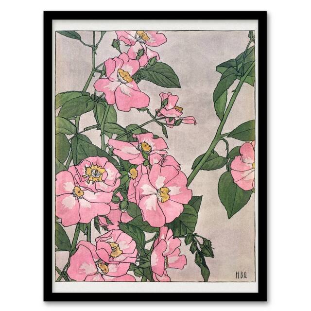 Artery8 Hannah Borger Overbeck Framed Wall Art Print Prairie Rose Flowers in Pink - Size: A4 - image 1