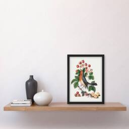 Artery8 Robin Bird & Wild Strawberry Plant Bolton Framed Wall Art Print in White - Size: A4 - thumbnail 2