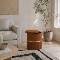 Wyld Haus Rapa Light Brown Velvet Feel Storage Ottoman with Gold Detail