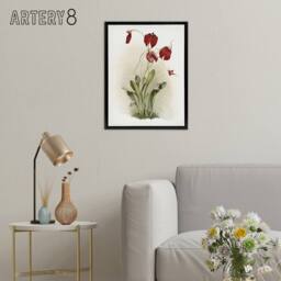 "Artery8 F Sander Masdevallia Harryana Splendens Orchid Framed Canvas Art Print - Size: W12"" x H16""" - thumbnail 3