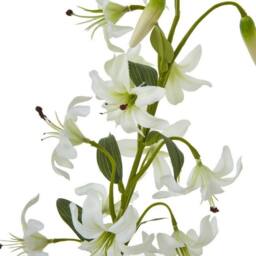 Lemon Pavilion Furniture and Decor Turks Cap Lily Spray (Single Stem Flower) - Height 82 cm - Green - thumbnail 2