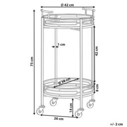 Wyld and Coco Gold Iron Bar Trolley with Mirrored Top - W42 x D42 x H75cm - thumbnail 4
