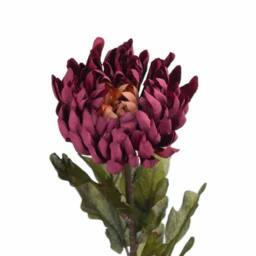 Lemon Pavilion Furniture and Decor Autumn Spider Chrysanthemum Artificial Flower - L14 x W14 x H78 cm in Purple - thumbnail 7