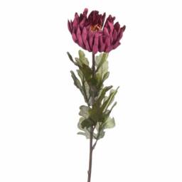 Lemon Pavilion Furniture and Decor Autumn Spider Chrysanthemum Artificial Flower - L14 x W14 x H78 cm in Purple - thumbnail 6