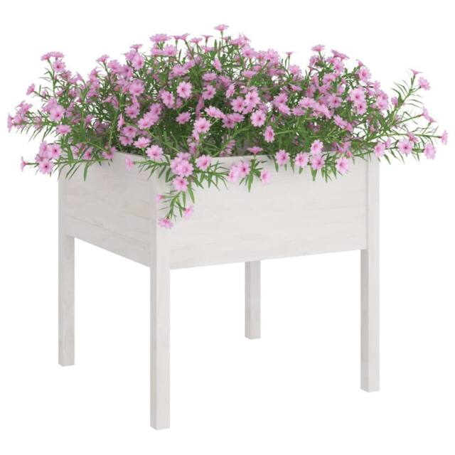 Berkfield Home Garden Planters 2 pcs White 70x70x70 cm Solid Pinewood - Size: 70 x 70 x 70 cm - image 1