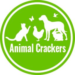 Animal Crackers Horse Mare & Foal Figurine, Leonardo Reflections Range, Gift Boxed in Bronze - thumbnail 6