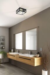 Eglo Amezola Clear Metal & Glass IP44 Bathroom or Outdoor Wall or Ceiling Light in Black - thumbnail 2