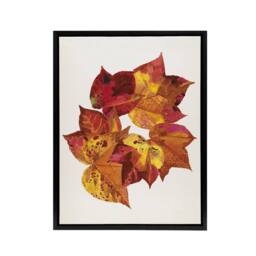 "Artery8 Autumn Leaves Leaf Patterns Reijer Stolk Framed Canvas Wall Art Print in White - Size: W18"" x H24""" - thumbnail 1