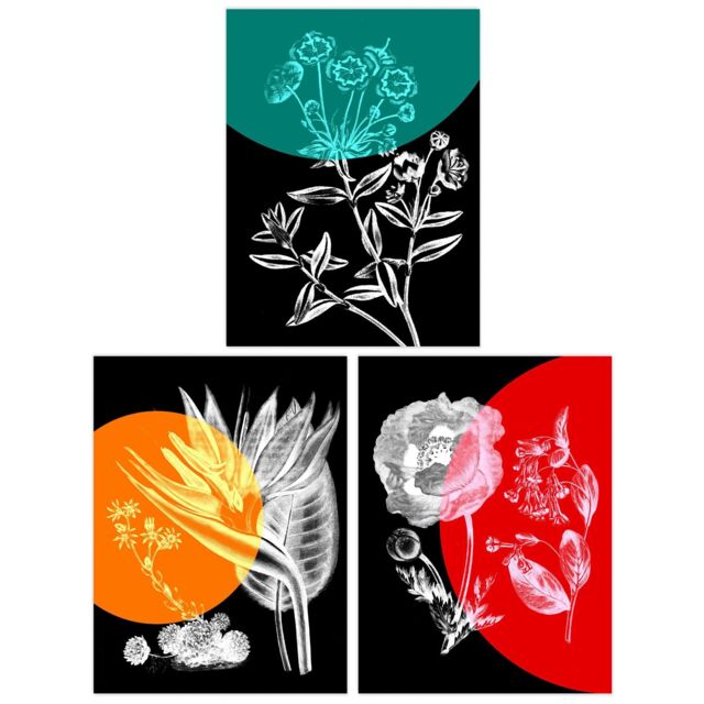 Wee Blue Coo Pack of 3 Colour Pop on Floral Black & White Plants Flower Botanical Invert Colour Unframed Wall Art Living Room Prints Set - image 1