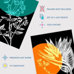 Wee Blue Coo Pack of 3 Colour Pop on Floral Black & White Plants Flower Botanical Invert Colour Unframed Wall Art Living Room Prints Set - thumbnail 4