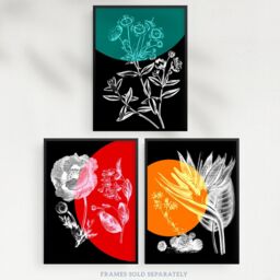 Wee Blue Coo Pack of 3 Colour Pop on Floral Black & White Plants Flower Botanical Invert Colour Unframed Wall Art Living Room Prints Set - thumbnail 5