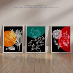 Wee Blue Coo Pack of 3 Colour Pop on Floral Black & White Plants Flower Botanical Invert Colour Unframed Wall Art Living Room Prints Set - thumbnail 6