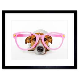 "Artery8 Jack Russell Dog Comedy Pink Glasse Home Decor 12x16"" Framed Art Print - Size: W12"" x H16""" - thumbnail 1