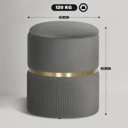 Wyld Haus Vami Grey Velvet Feel Storage Ottoman with Gold Accent - thumbnail 4