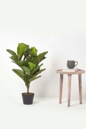 Homescapes Artificial Fiddle Leaf Fig Tree in Pot, 70 cm Tall in Green - thumbnail 6