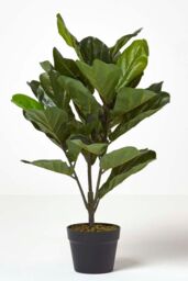 Homescapes Artificial Fiddle Leaf Fig Tree in Pot, 70 cm Tall in Green - thumbnail 5