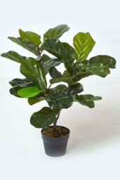 Homescapes Artificial Fiddle Leaf Fig Tree in Pot, 70 cm Tall in Green - thumbnail 1