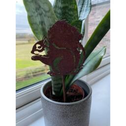 Poppyforge Squirrel Pot Stake (Pack of 3) - Bare Metal/Ready to Rust - H25 cm in Brown - thumbnail 2