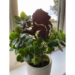 Poppyforge Squirrel Pot Stake (Pack of 3) - Bare Metal/Ready to Rust - H25 cm in Brown