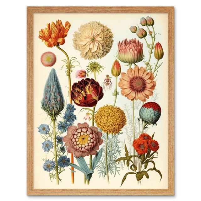 "Artery8 Wall Art Print Vintage Botanical Ernst Haeckel Style Plant Study Modern Watercolour Painting Art Framed in Light Oak - Size: W12"" x H16""" - image 1