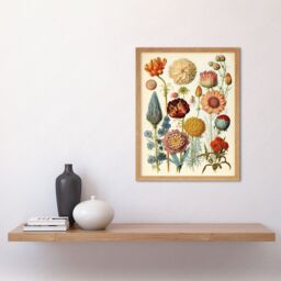 "Artery8 Wall Art Print Vintage Botanical Ernst Haeckel Style Plant Study Modern Watercolour Painting Art Framed in Light Oak - Size: W12"" x H16""" - thumbnail 2