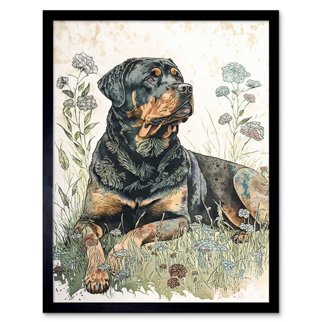 "Artery8 Wall Art Print Rottweiler Dog Lying in Wildflowers Bright Watercolour Art Framed in Black - Size: W12"" x H16""" - image 1