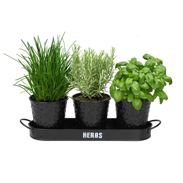 simpa Embossed Metal 3PC Herb Planters with Tray in Black - image 1