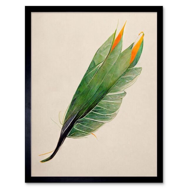 "Artery8 Wall Art Print Tropical Bird of Paradise Leaf Botanical Art Framed in Black - Size: W12"" x H16""" - image 1