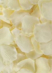 Shatchi 200pcs Ivory Silk Rose Petals Wedding Mothers Day Wedding Confetti Anniversary Table Decorations in White - thumbnail 5