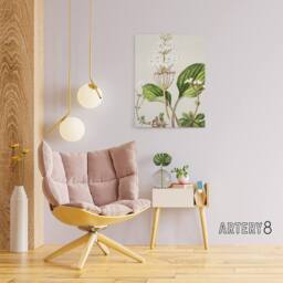 "Artery8 New Zealand Ourisia Flowering Plant Featon Canvas Wall Art Print in Beige - Size: W12"" x H16""" - thumbnail 3