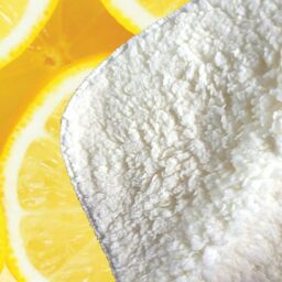 Warren Reed - Designer Vibrant Lemons Sherpa Blanket in Yellow - Size: Large - thumbnail 3