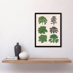 Artery8 Kales & Brussel Sprouts Ernst Benary Framed Wall Art Print in White - Size: A4 - thumbnail 4