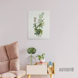 "Artery8 Green Black Capped Flycatcher Audubon Nature Canvas Wall Art in White - Size: W18"" x H24""" - thumbnail 3