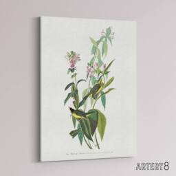 "Artery8 Green Black Capped Flycatcher Audubon Nature Canvas Wall Art in White - Size: W18"" x H24""" - thumbnail 2