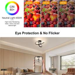 Goeco Modern LED Ceiling Light Creative Flower Shape Ceiling Light 4500K in Black - Size: 10 inches - thumbnail 6