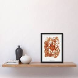 "Artery8 Deep Sea Basket Star Illustration Albert I Framed Wall Art Print in White - Size: W12"" x H16""" - thumbnail 4