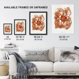 "Artery8 Deep Sea Basket Star Illustration Albert I Framed Wall Art Print in White - Size: W12"" x H16""" - thumbnail 3