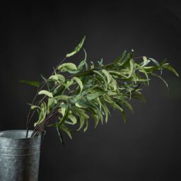 Love Lace Eucalyptus Nicholii Spray Artificial Flower in Green - thumbnail 1