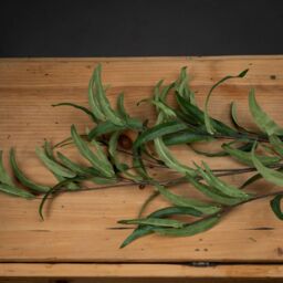 Love Lace Eucalyptus Nicholii Spray Artificial Flower in Green - thumbnail 2