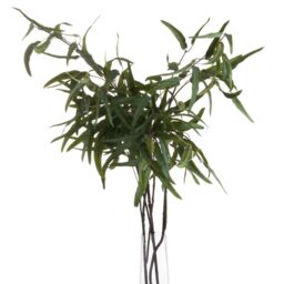 Love Lace Eucalyptus Nicholii Spray Artificial Flower in Green - thumbnail 3