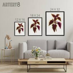 "Artery8 AF Lydon Benjamin Fawcett Red Coleus Plant Leaf Framed Canvas Art in White - Size: W12"" x H16""" - thumbnail 4