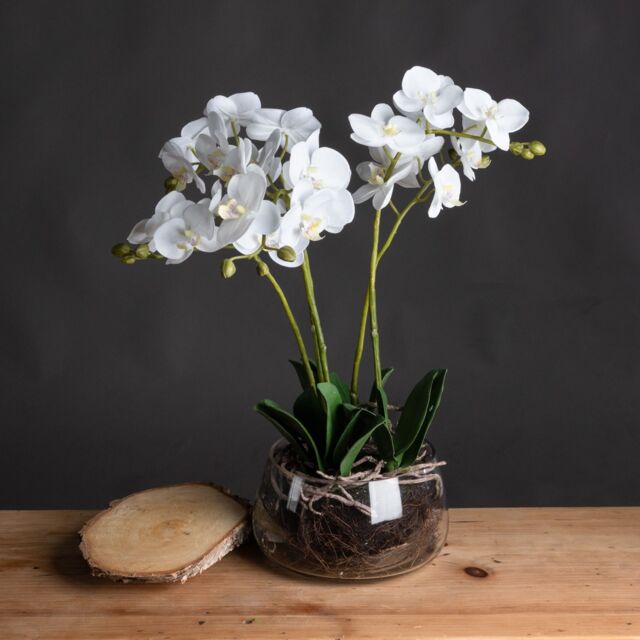 Love Lace White Orchid Artificial Flower In Glass Pot - image 1