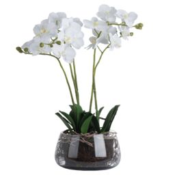 Love Lace White Orchid Artificial Flower In Glass Pot - thumbnail 2